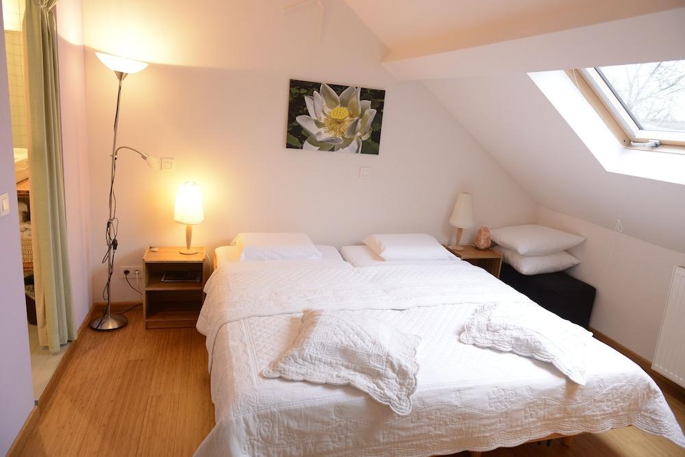 B&B Bio Brussels Saint-Gilles Dış mekan fotoğraf